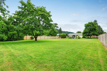 Fototapeta na wymiar Large spacious backyard area, filled with green grass