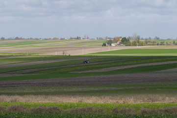 autumn field in Poland
