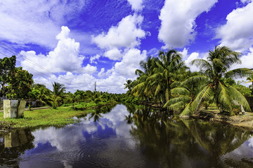 Obraz na płótnie Canvas Plantation Bakkie in Surinam