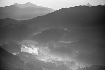 Morgennebel