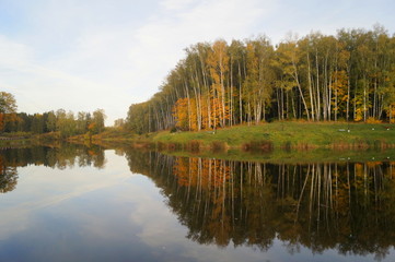 Lake reflection in autumn park