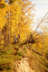 Precipice in autumn landscape