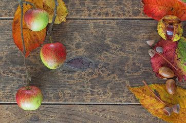 Herbstblätter auf hölzernem Hintergrund,draufsicht