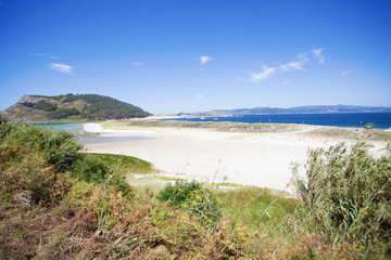 wild beach in summer