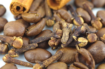 roasted coffee and spice