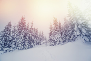 Majestic winter landscape