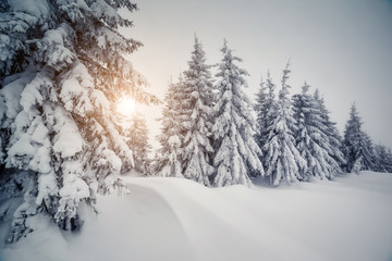 Fototapeta premium Majestic winter landscape