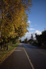 Autumn