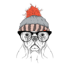 The christmas poster with the image dog portrait in winter hat. Vector illustration.