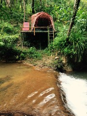 small camping tent with the bamboo step in the forest beside the river