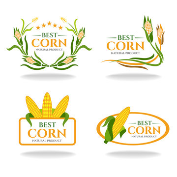 Yellow green Corn best and natural products banner sign vector design