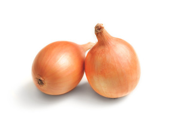 Two yellow onions isolated on white background cutout