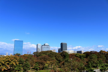 Fototapeta na wymiar 大阪城公園の秋