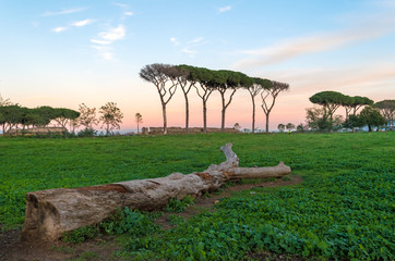 Rome (Italy), The Parco degli Acquedotti at sunset. - Parco degli Acquedotti is an archeological public park in Rome, part of the Appian Way Regional Park, with monumental ruins of roman aqueducts.