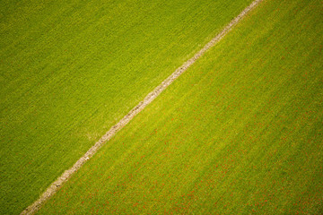 Castelluccio di Norcia