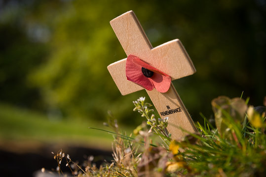 A cross and poppy mark the line of the trenches at the World War 1 battlefield of Vimy Ridge, France