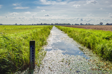 Water level tide gauge in a Dutch polder ditch - obrazy, fototapety, plakaty