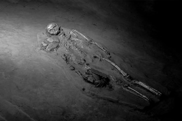 black and white Skeleton human
