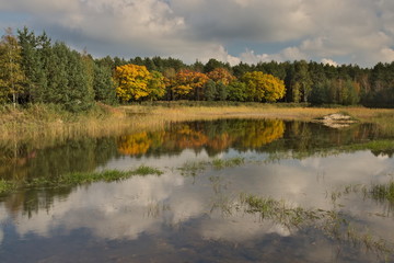 Jesień nad jeziorem.