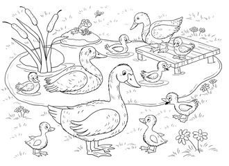 Fototapeta na wymiar At the farm. Domestic animals. Cute duck and ducklings in the pond. Mother goose with her babies. Illustration for children. Coloring book. Coloring page. Funny cartoon characters.