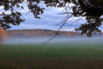 Foggy hillside in Hudson Valley at dusk