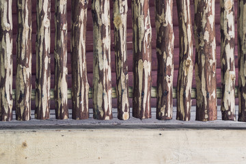 Rough crackled wooden fence with clipping paths