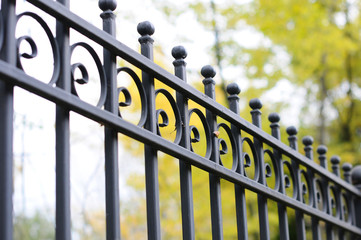 Image of a decorative cast iron fence. beautiful fence with artistic forging. Idea Decorative Iron...