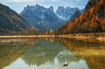 Autumn scenery of Lake Landro in Dolomite Alps, Italy