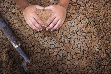 Children planting trees to eliminate drought.