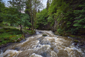 Kura river in Borjomi national park, Georgia © vladimirzhoga