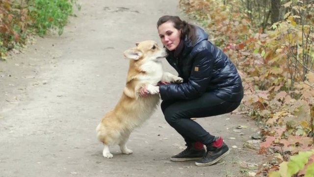 girl with a dog walks