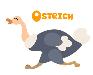 Vector letter O ostrich children alphabet illustration