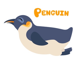 Vector letter P king penguin for children alphabet zoo illustration