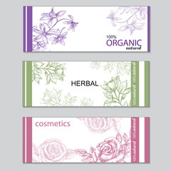 set of cards with hand drawn herbal and flowers