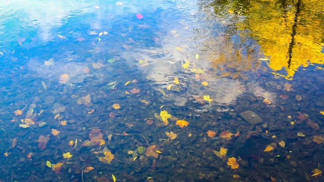 Fluss im Herbst - Cinemagraph