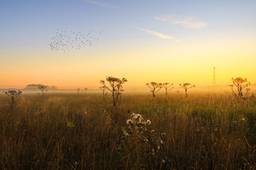 Moscow region, Russia.