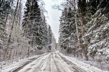 beautiful winter landscape. Empty road in the winter pine forest