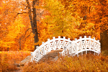 Plakat Holzbrücke im Park - Herbststimmung mit bunten Laub