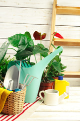 composition of garden tools