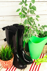 composition of garden tools