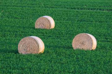 three bales of hay