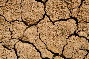 Texture cracked, dry the surface of the earth. Earth turned into