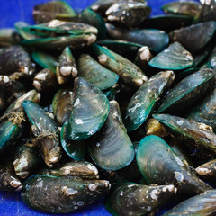 Green mussels on a fish market