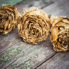 Faded roses on an old painted wooden background