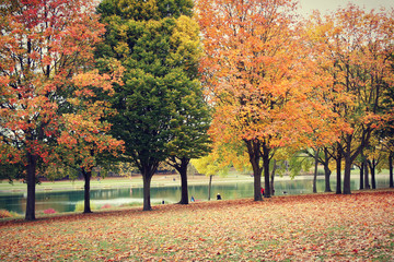 autumn