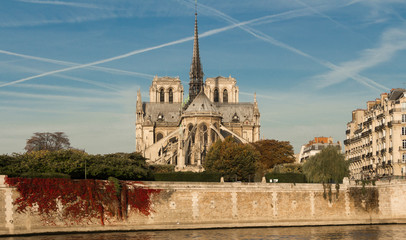 Fototapeta na wymiar The Notre Dame cathedral , Paris, France.