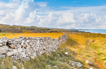 rocky coastal shore of Puglia