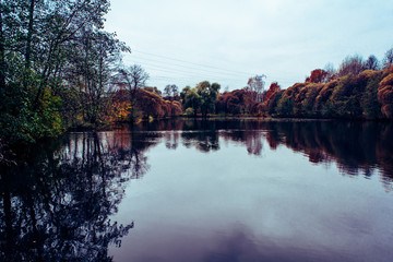 Осенний пруд