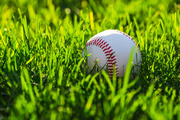 Baseball Ball on Grass Field