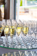 Champagne Glasses
